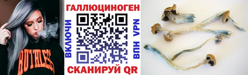 кракен как зайти  Барабинск  Псилоцибиновые грибы Psilocybine cubensis 