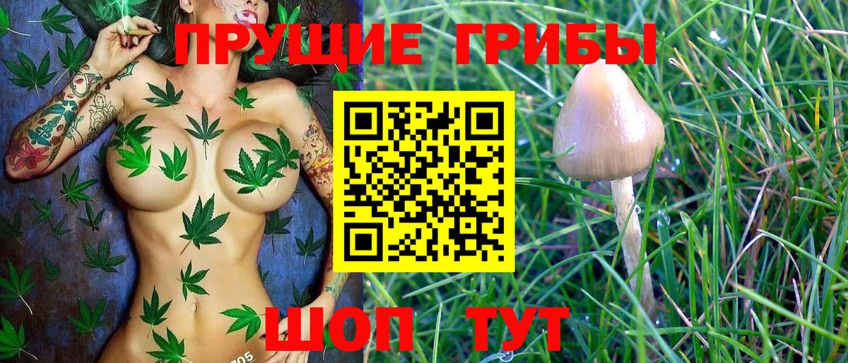 Барабинск  Галлюциногенные грибы GOLDEN TEACHER  Вход с VPN 
