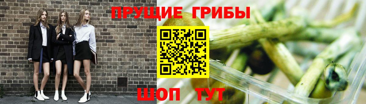 Псилоцибиновые грибы MAGIC MUSHROOMS Барабинск